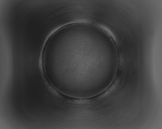 X0000100900952200806241249
