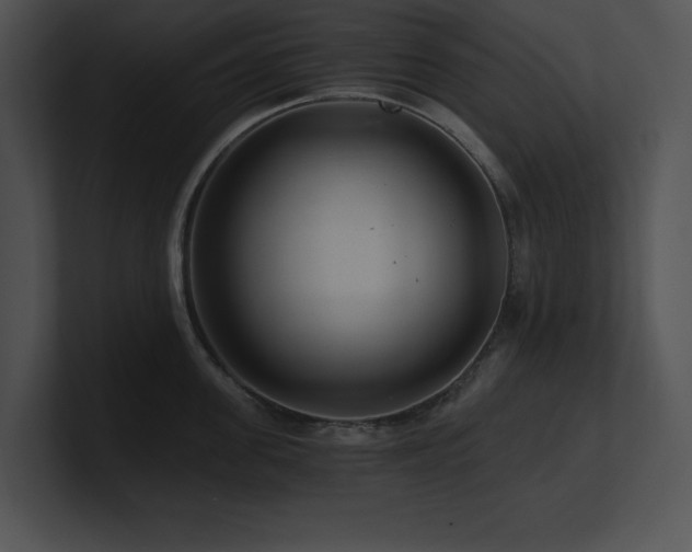 X0000100900955200806241249