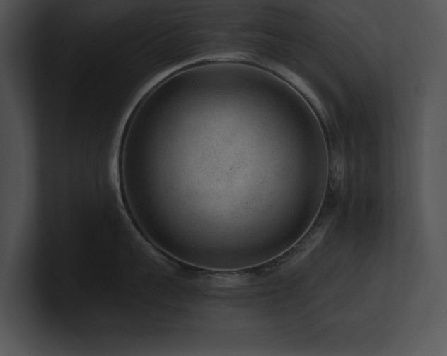 X0000100900959200806241249