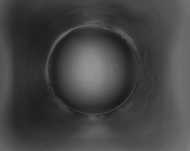 X0000100900960200806241249