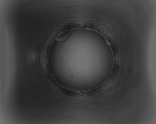 X0000100900961200806241249