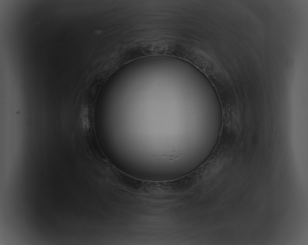 X0000100900962200806241249
