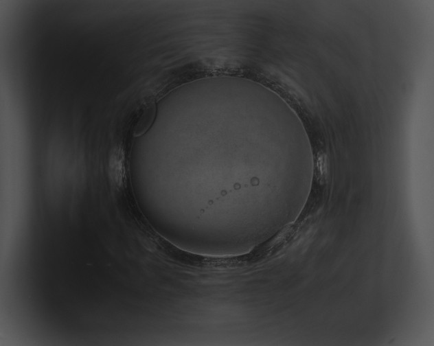 X0000100900963200806241249
