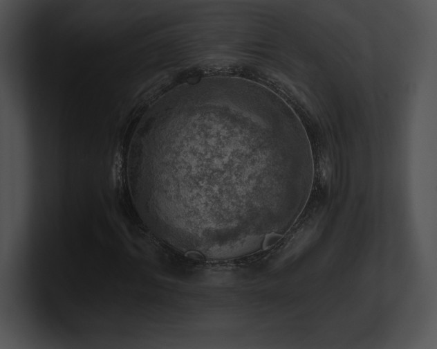 X0000100900964200806241249