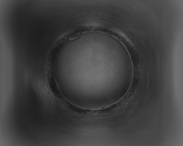 X0000100900967200806241249