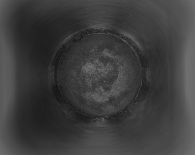 X0000100900968200806241249