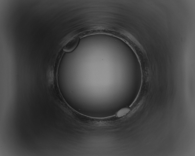 X0000100900969200806241249