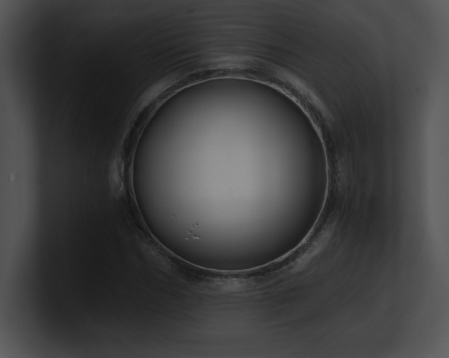 X0000100900970200806241249