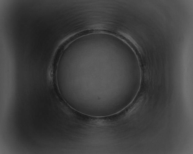 X0000100900971200806241249