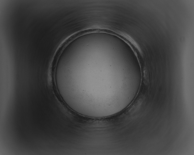 X0000100900972200806241249