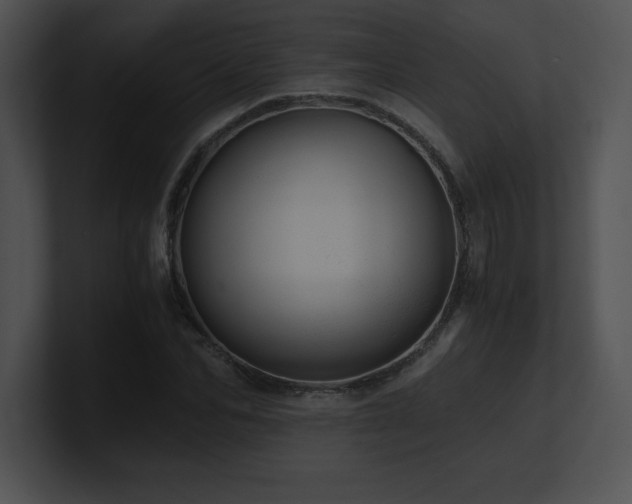X0000100900974200806241249