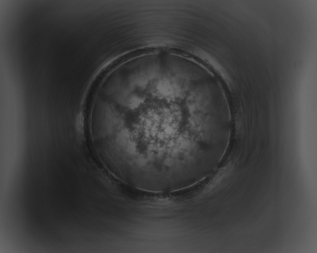 X0000100900975200806241248