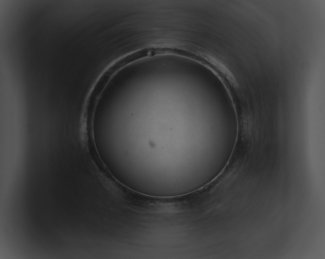 X0000100900976200806241248