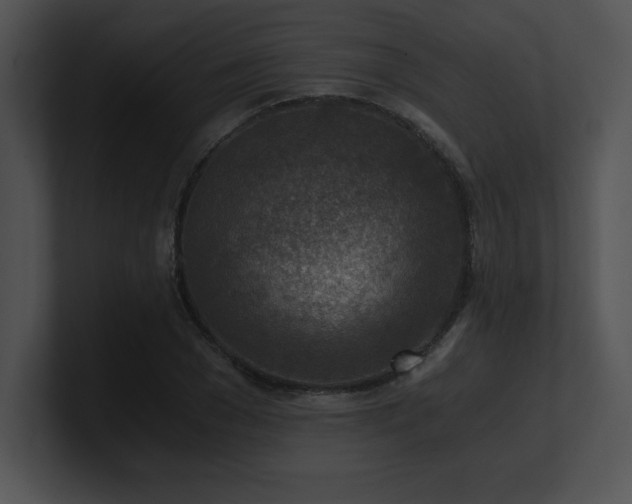 X0000100900977200806241248