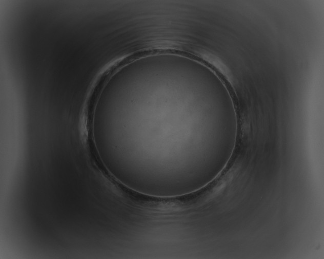 X0000100900979200806241248