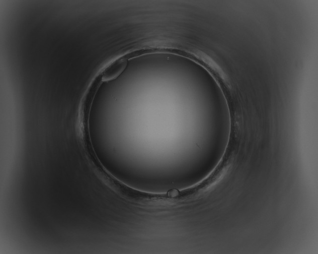 X0000100900981200806241248