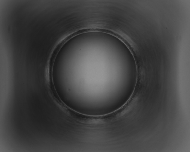 X0000100900982200806241248