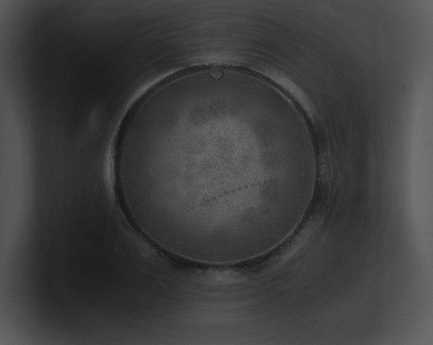 X0000100900983200806241248