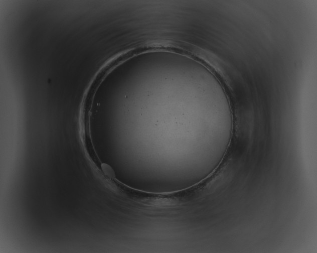 X0000100900984200806241248