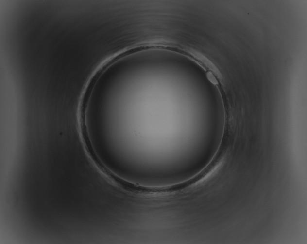 X0000100900989200806241248