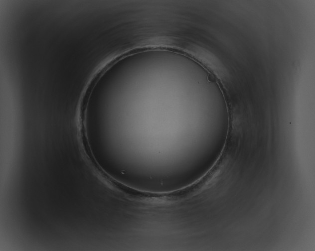 X0000100900990200806241248