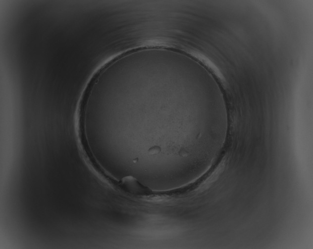 X0000100900991200806241248