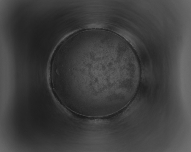X0000100900992200806241248