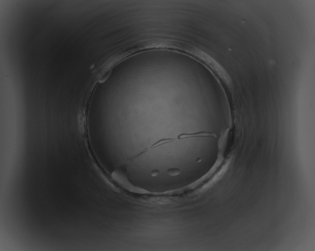 X0000100900993200806241248
