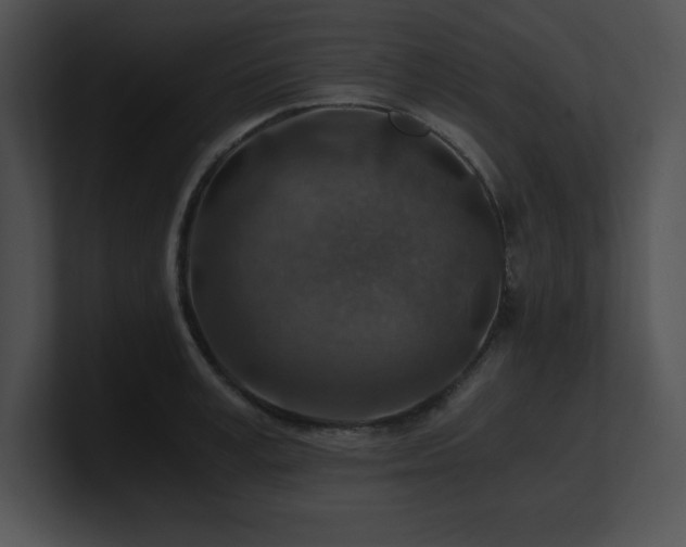 X0000100900995200806241248