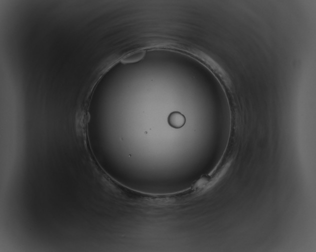 X0000100901001200806241248