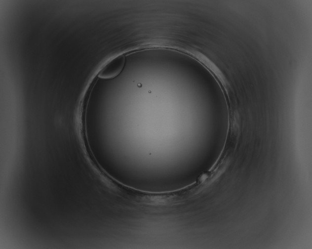 X0000100901005200806241248