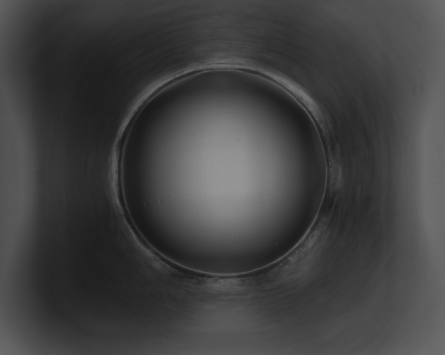 X0000100901006200806241248