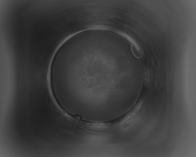 X0000100901007200806241248