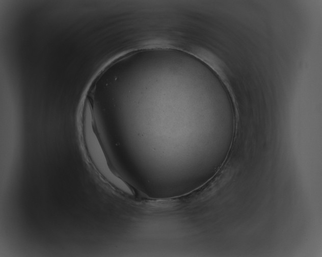 X0000100901008200806241248