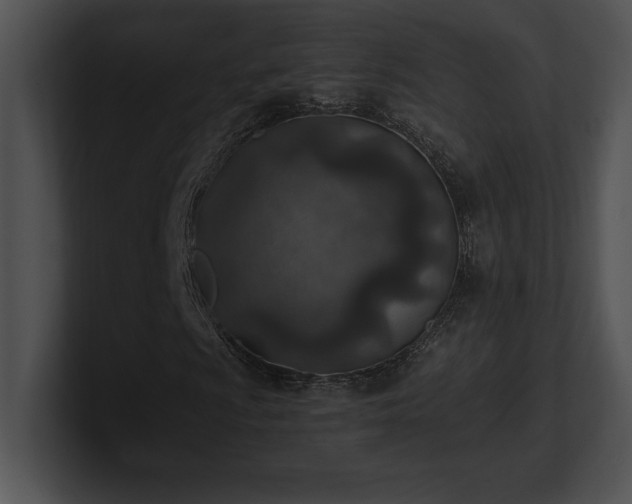 X0000100901009200806241247