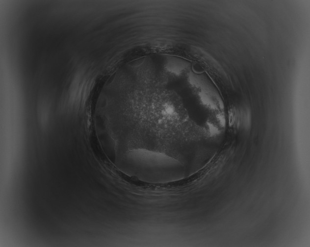 X0000100901011200806241247