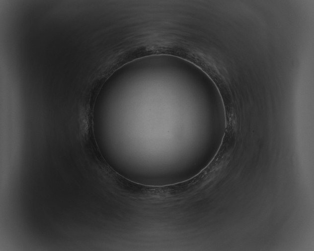 X0000100901012200806241247