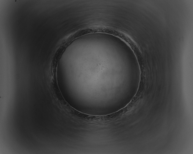 X0000100901016200806241248