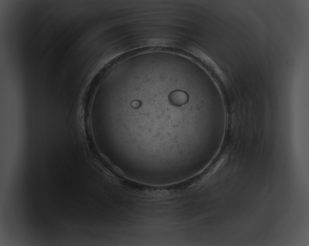 X0000100901019200806241248