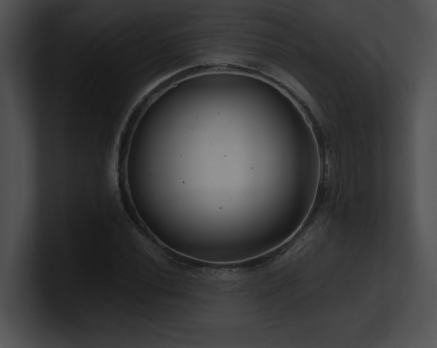 X0000100901020200806241248