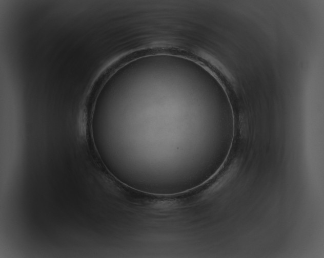 X0000100901021200806241248
