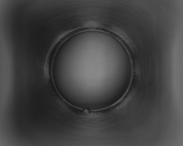 X0000100901022200806241248