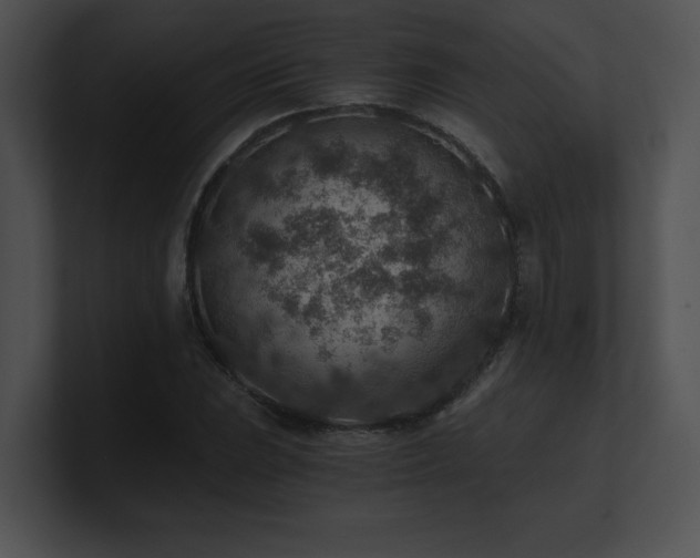 X0000100901023200806241248