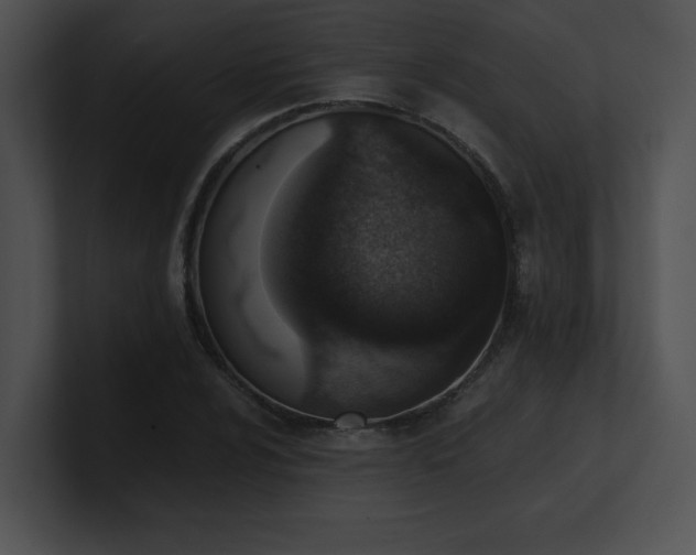 X0000100901024200806241248