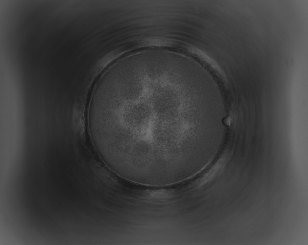 X0000100901025200806241248
