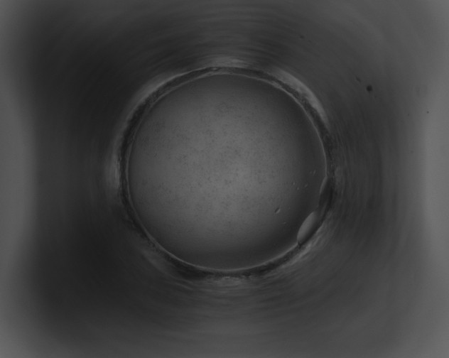 X0000100901027200806241248