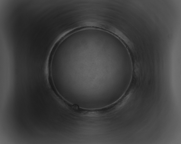 X0000100901028200806241248