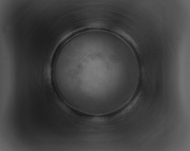 X0000100901029200806241248