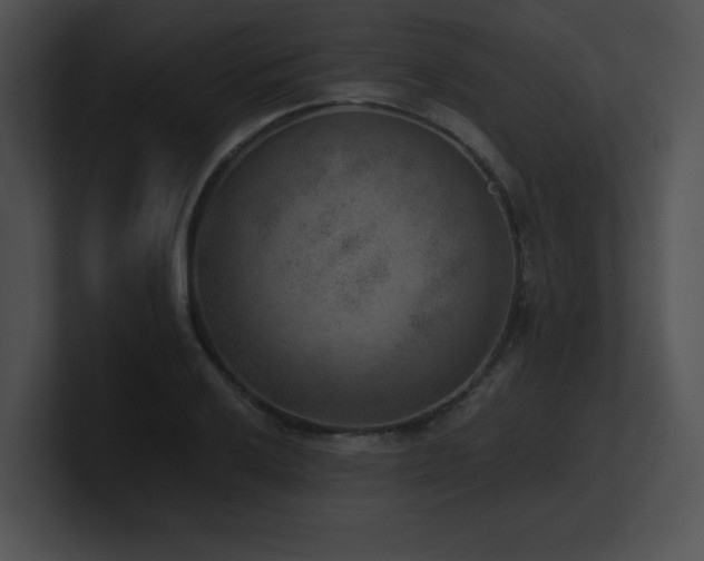 X0000100901032200806241248