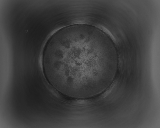 X0000100901035200806241248